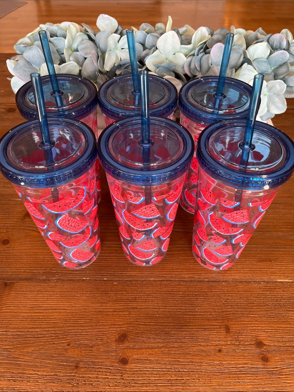 NWT Set of 6 Watermelon Print Tumblers with Blue Lids and Straws